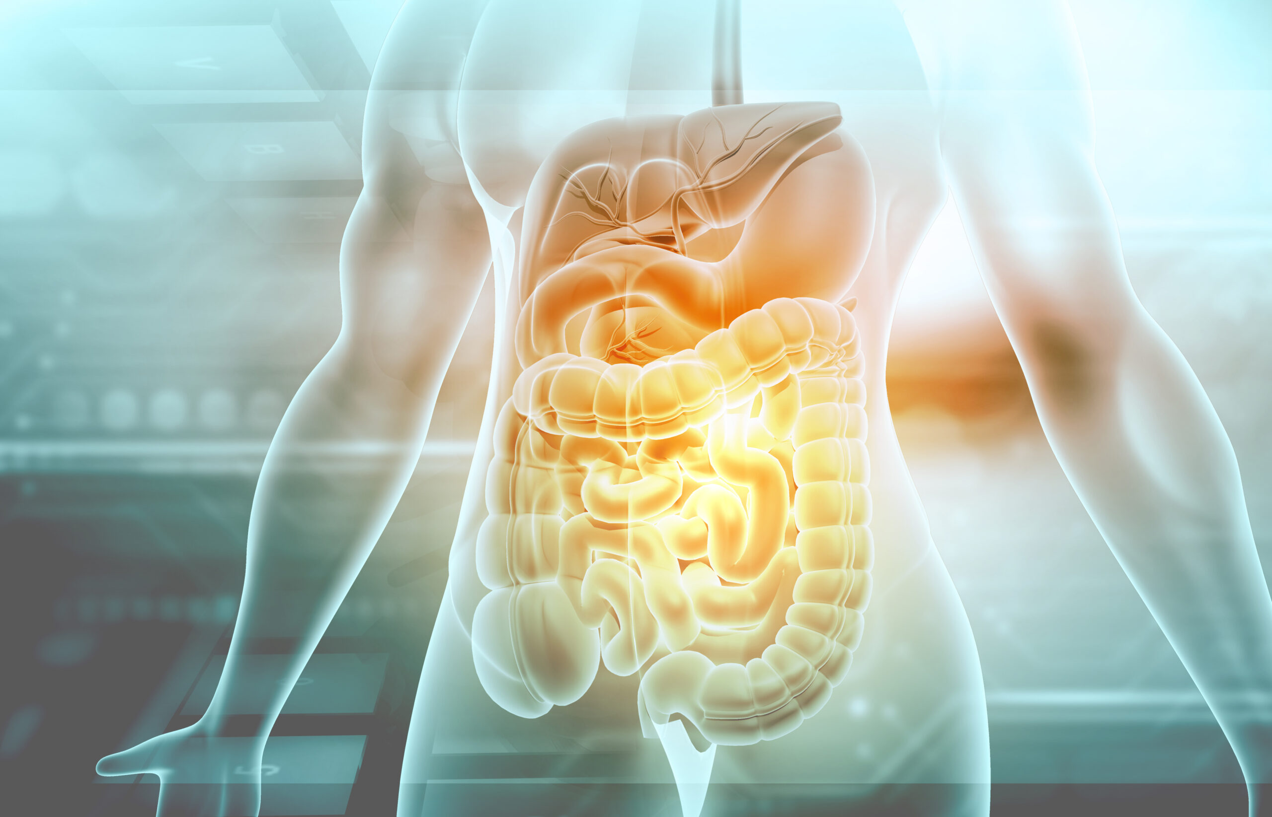 Gut & Immune